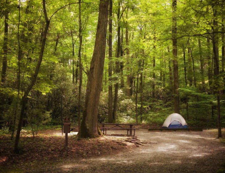 Patapsco Valley State Park - Hollofield Area, Maryland, USA